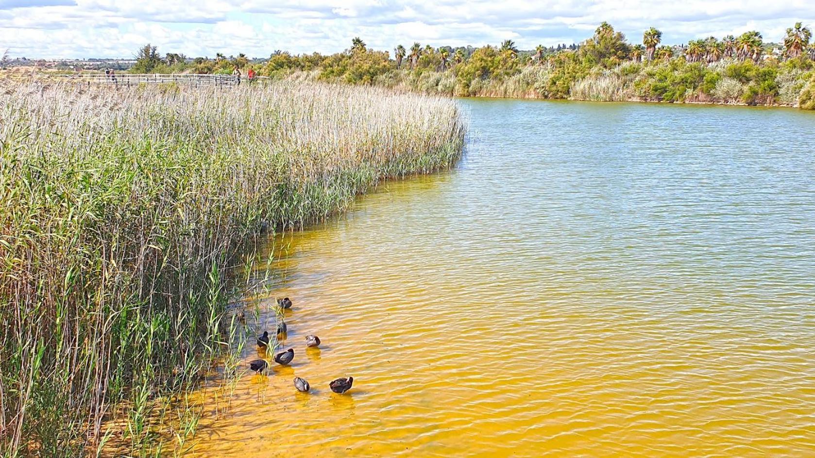 Cantinho Do Mocho Pêra Εξωτερικό φωτογραφία
